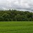 wilsberg