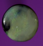 1.1ct Semi Black Opal