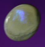 1.5ct Semi Black Opal