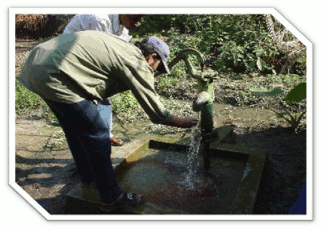 Bebendo a água contaminada