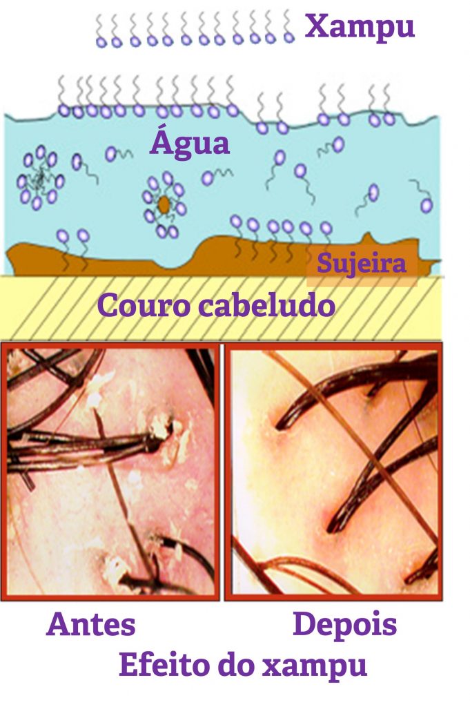 Esquema limpeza do cabelo