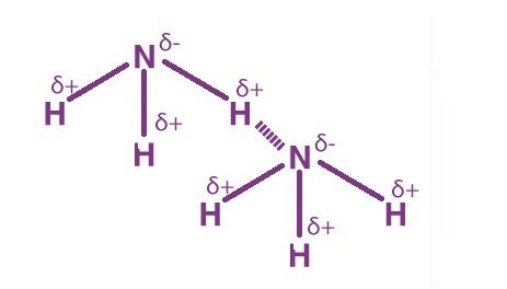 Ligação de hidrogênio na amônia