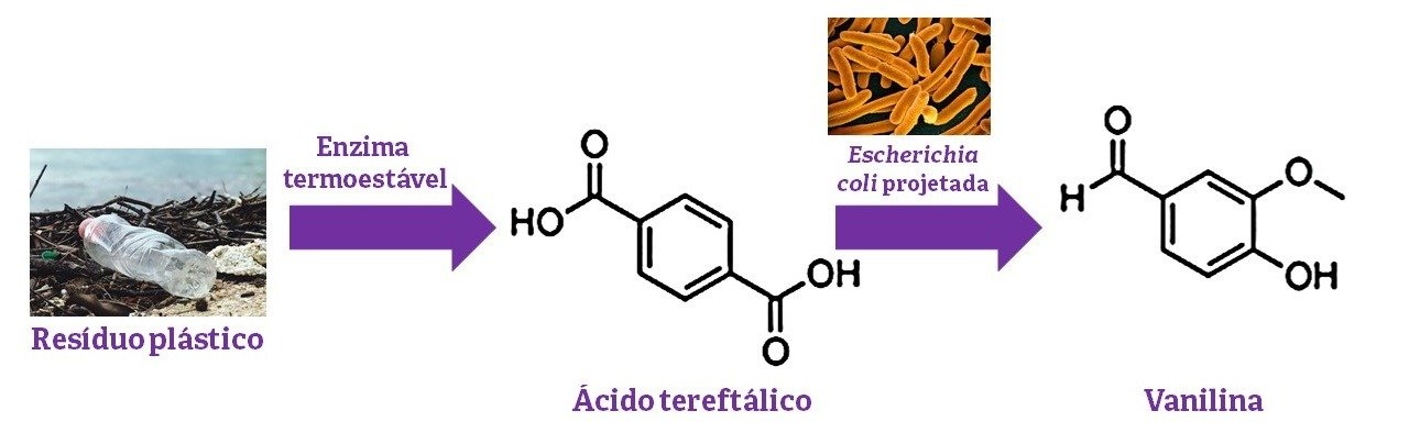 PET- transformado - vanilina