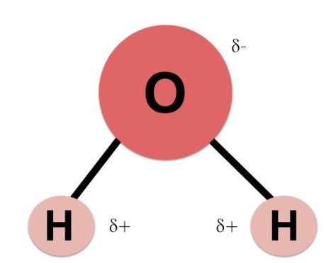 Dipolo molécula da água