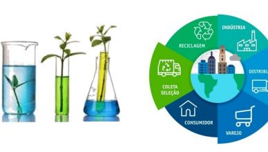 economia circular e quimica verde