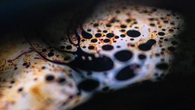 Marchas de óleo contaminando