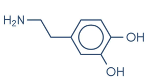 Dopamina