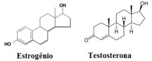 Estrutura testosterona