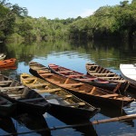 rio do amazonas