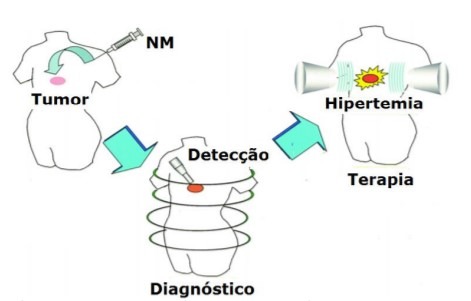 Nanoparticulas magnéticas