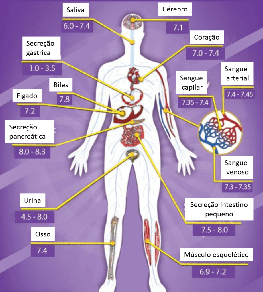 pH humano