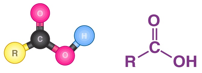 ácido carboxilico