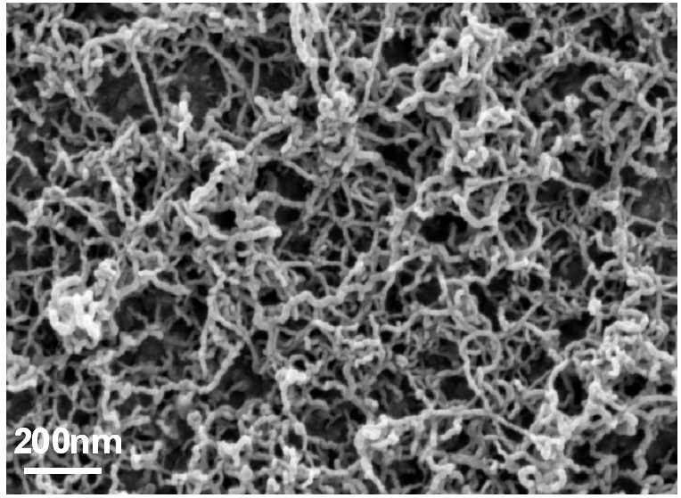 Carbon Nanofilaments