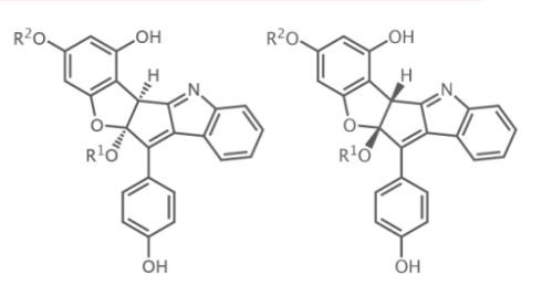 Estruturas da nudicaulinas
