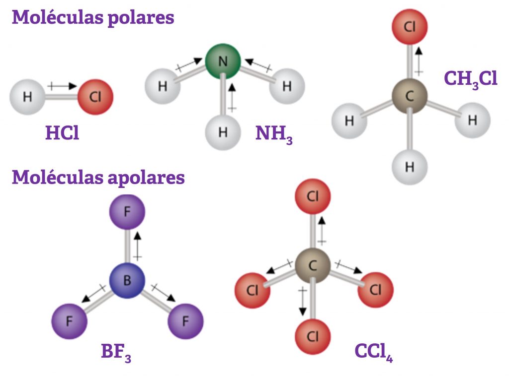 Exemplos de moléculas polares e apolares