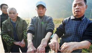 Contaminação cadmio