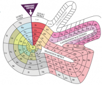 Tabela periódica de Gustavus Hinrichs