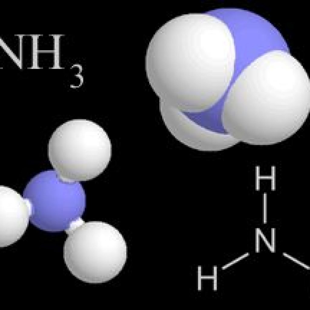 amonia amoniaco