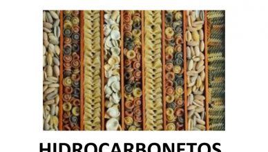 Revista hidrocarboneto