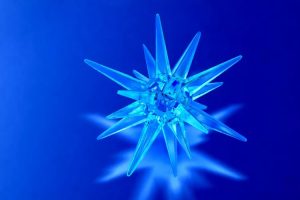 estrela do mar brilhante