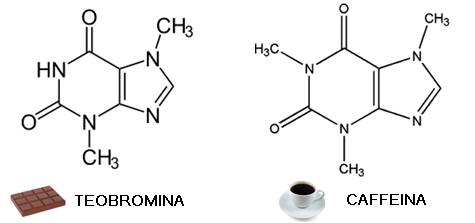 Estrutura Cafeina e Teobromina