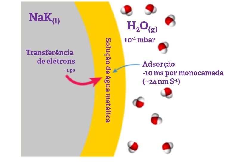 teoria água metálica