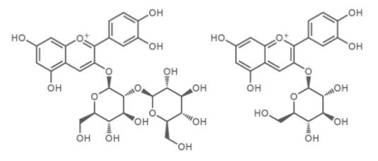antocianidinas-da-papoula