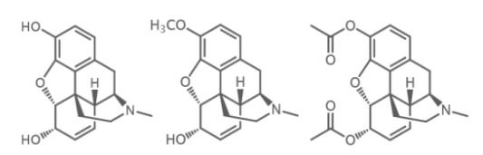 Morfinas da papoulas