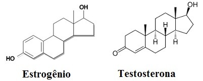 Estrutura testosterona