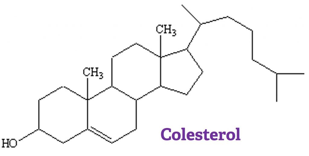 Colesterol