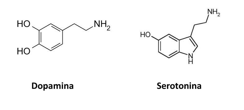 Dopamina e seratonina