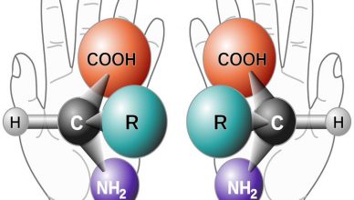 Isomeros - imagens especulares