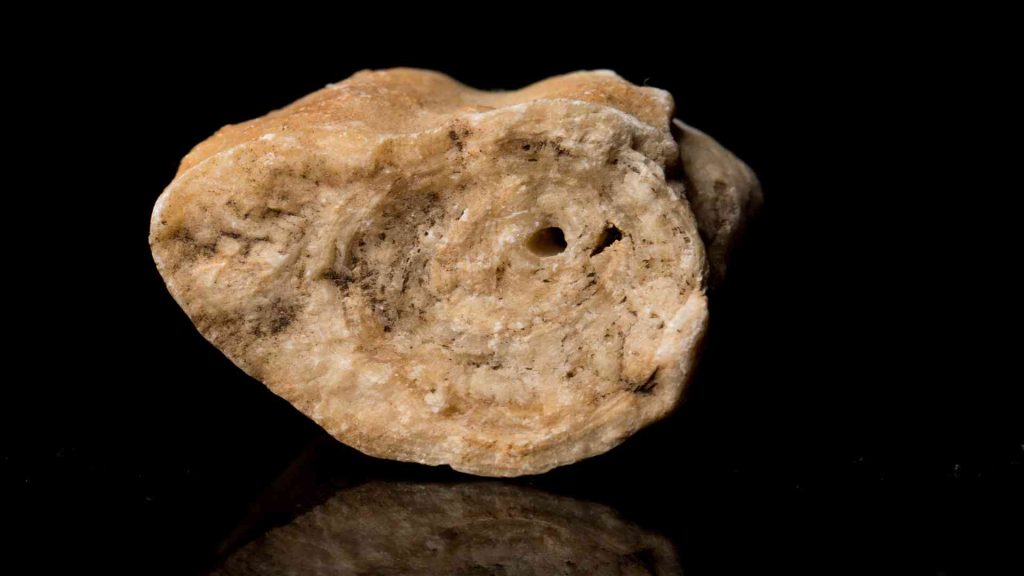 wurtzite boron nitride