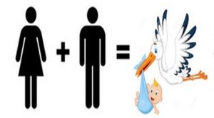 reação de síntese