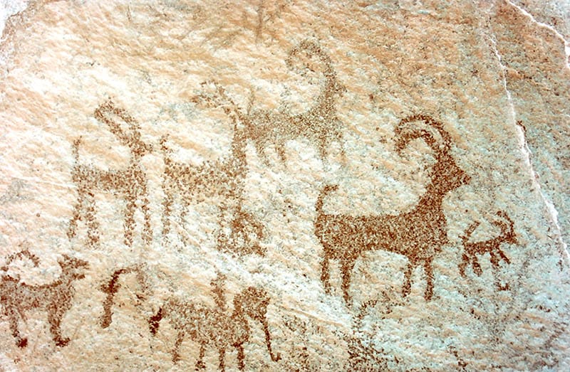 Pintura rubestre caverna Arash Sharifi