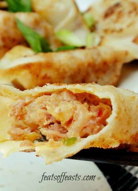 kimchi pot sticker