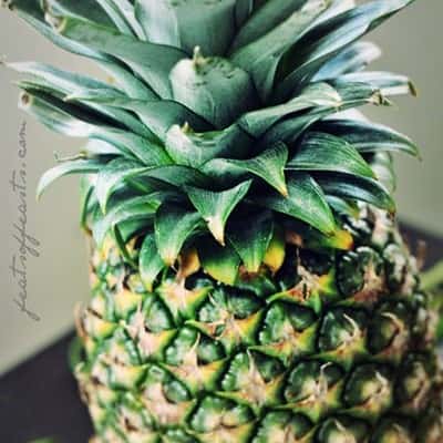 Photography – Pineapple