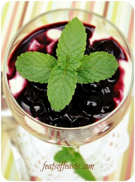 cheesecake with blueberry 3w