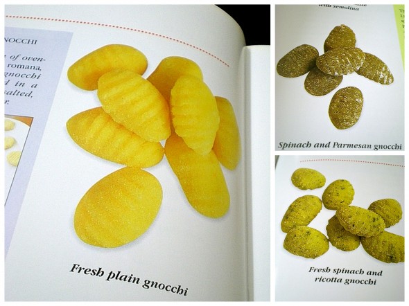 gnocchis book