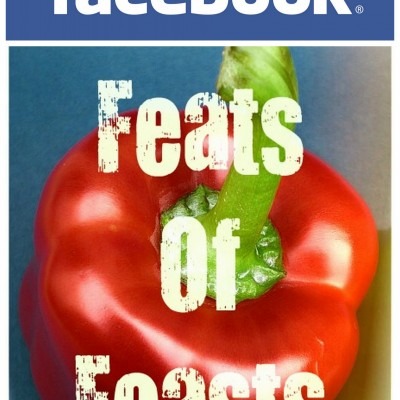 Feats of Feasts at Facebook