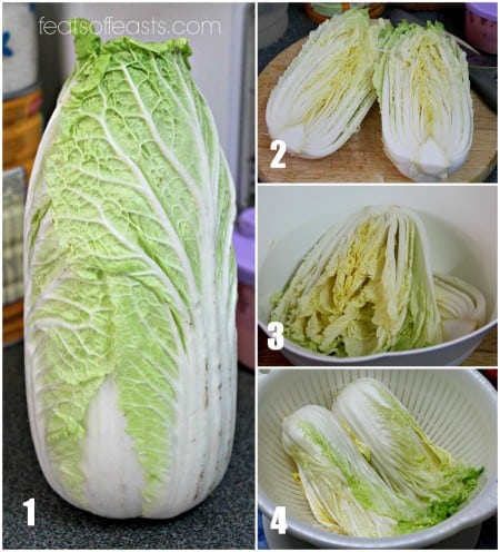 cabbage collage