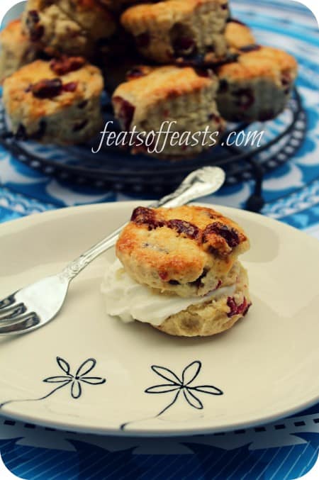 cranberry scone 1 w