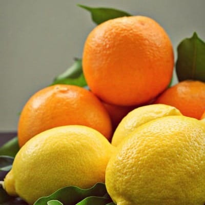Photography – Citrus (Orange and Lemons)