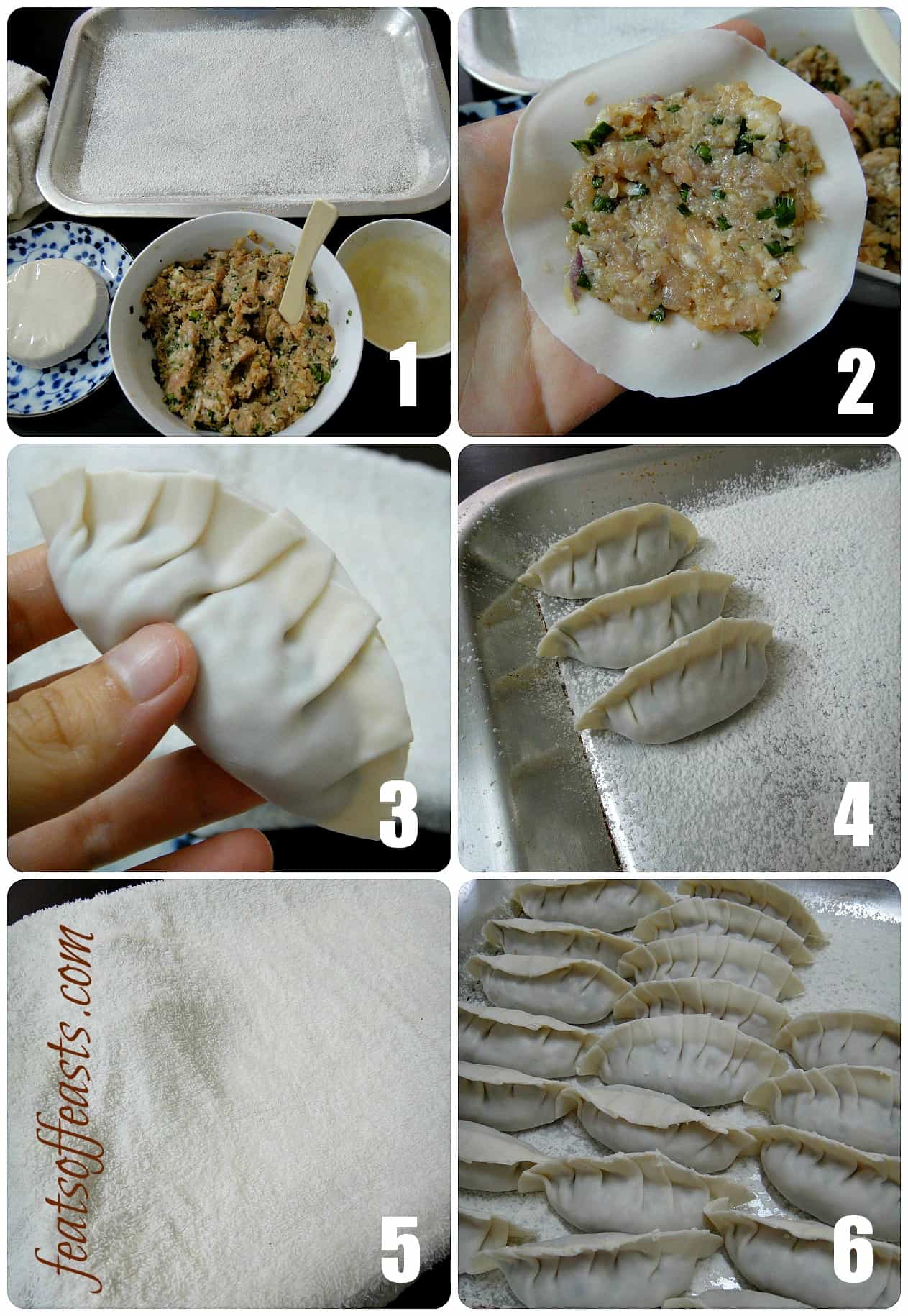 Pork and Chives Yaki-Gyozas and Gyoza Wantons in Miso