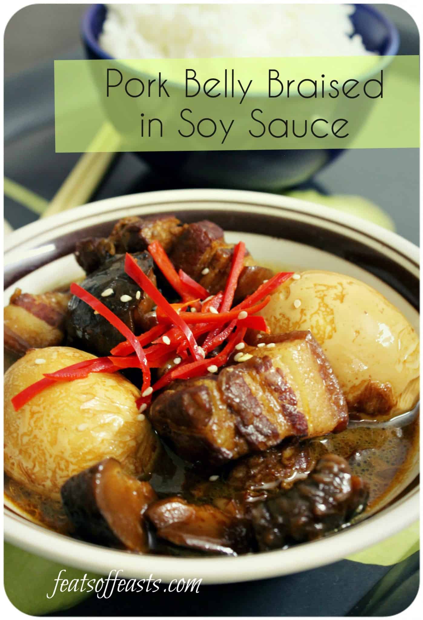 Pork Belly Braised in Soy Sauce (Tau Eu Bak)