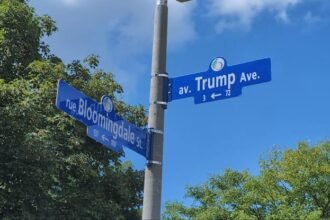TRUMP AVENUE