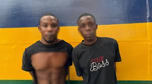 THE SUSPECTS PARADED