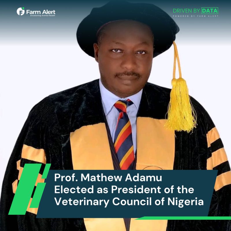PROF MATTEW ADAMU