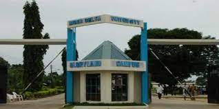 NIGER DELTA UNI