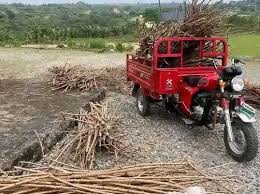 CASSAVA STICKS